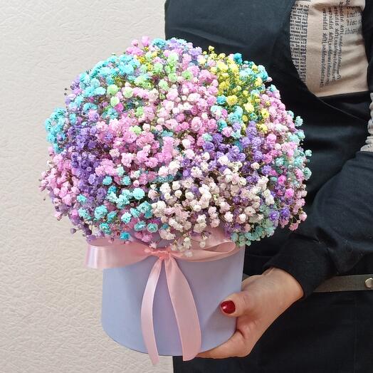 Гипсофила в коробке