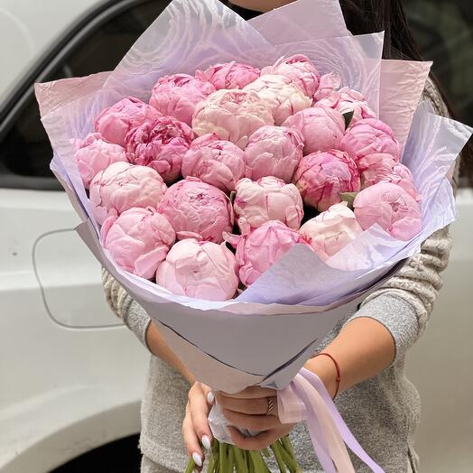 23 розовых пионов ( пион Сара Бернар )