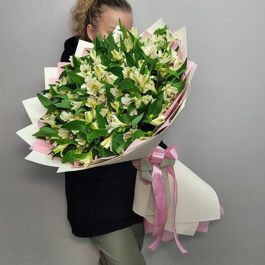 Анна Бэль (альстромерия 35шт)