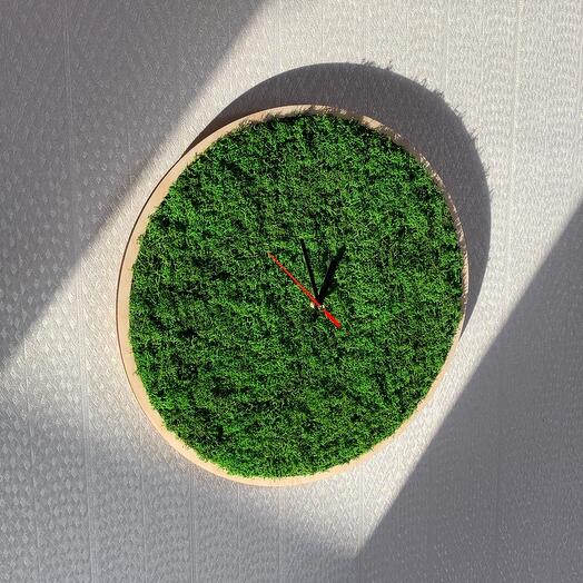 Часы со мхом 🌳