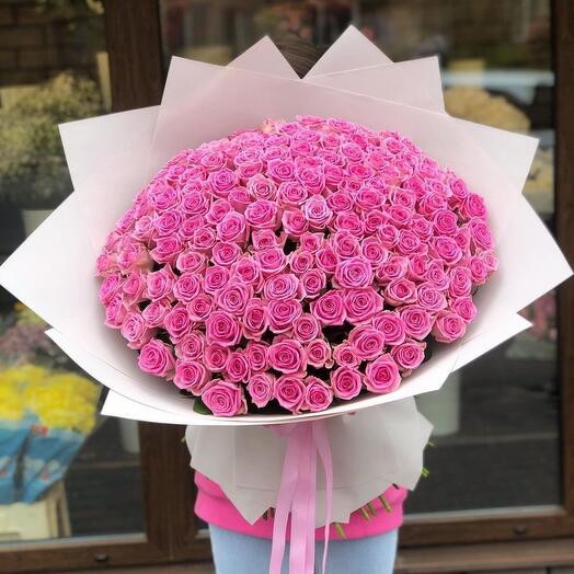 151 Pink Rose