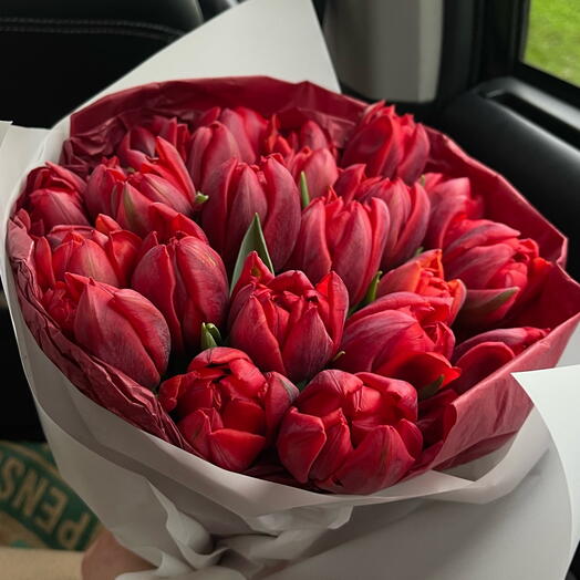 Tulips red 29 stems