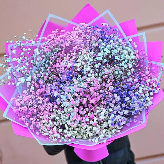 A bouquet of gypsophila in a package