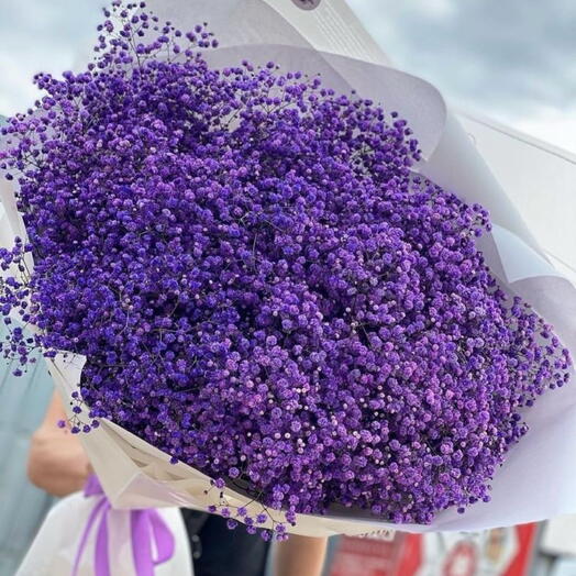 Ramo violeta precavido