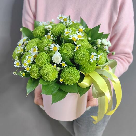 Коробка с зелеными хризантемами и полевыми ромашками (арт.2556)