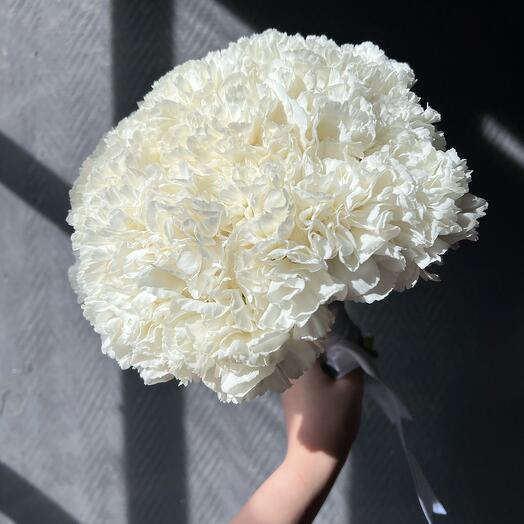 Белый диантус 🤍🕊️