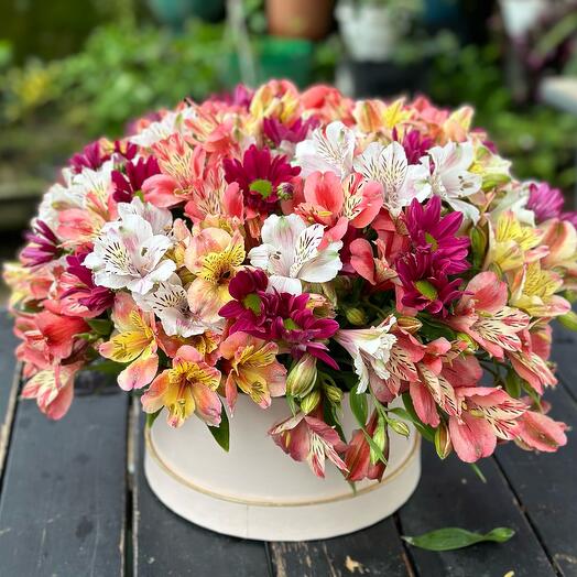 Alstromerias in a box