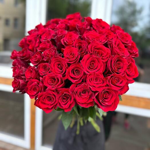 «Роскошь»🌹 51 бордовая роза