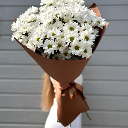 Chrysanthemum Monobucket