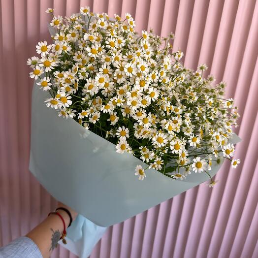 Ромашки 💜