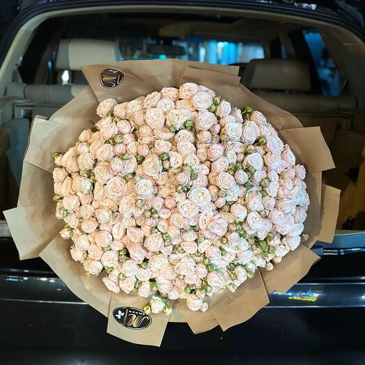 Spray roses