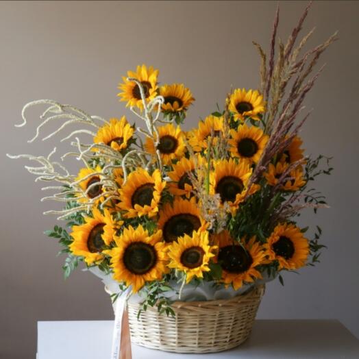 Яркие подсолнухи 🌻 ️