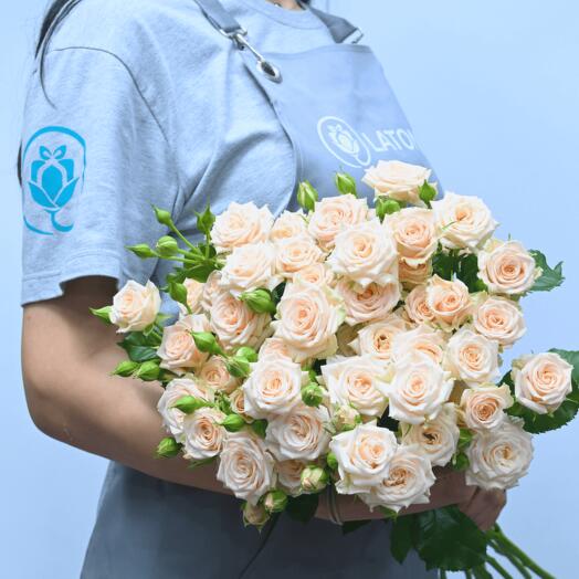 Кустовые розы Таня 11 штук