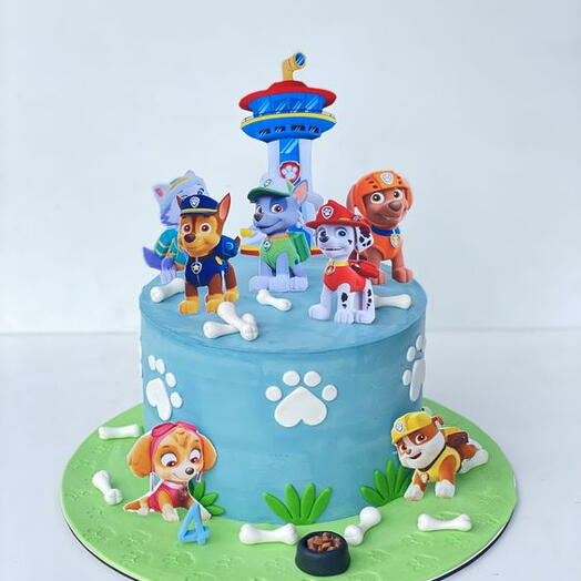 Baby Blue- Paw Patrol cake kids Birthday theme