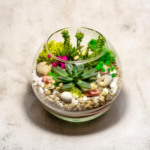 Флорариум XS