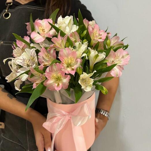 Caja de cuento de hadas alstroemeria