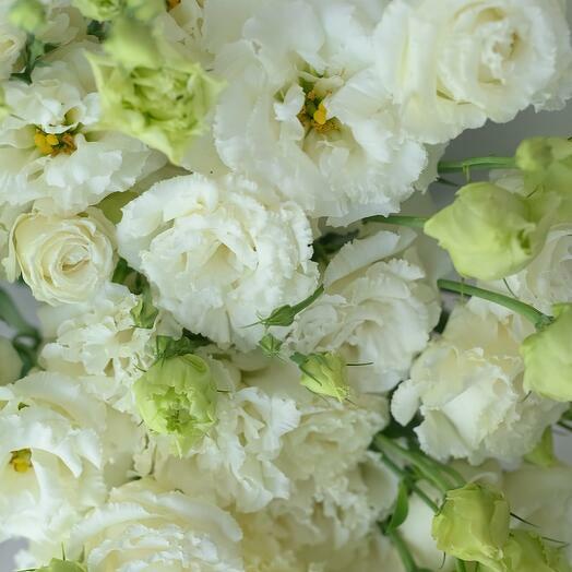 Lisianthus blanco