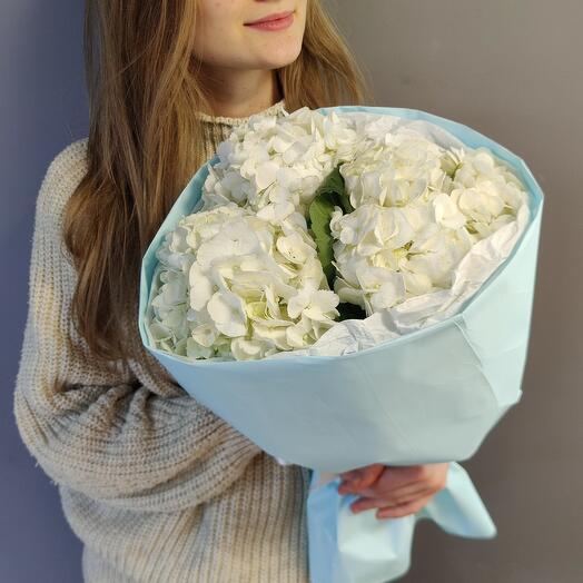 "Моно из гортензий"