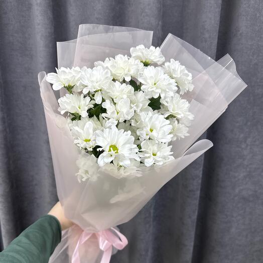 Моно ромашковых хризантем🌸в нежном оформлении
