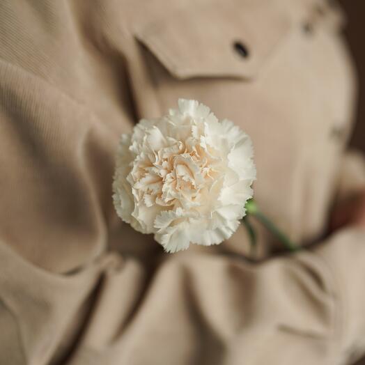 Peach cloves