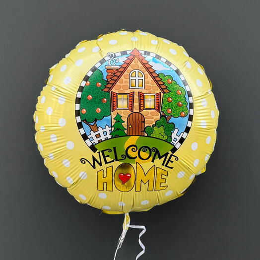 Welcome Home Single Balloon