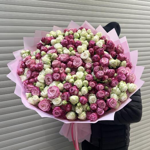 Bushy peony-shaped rose