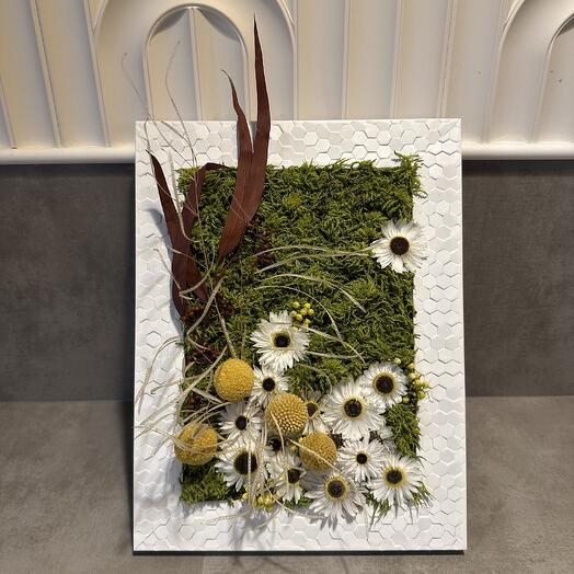 Фитокартина «Spring Vibe» из стабилизированного мха и сухоцветов