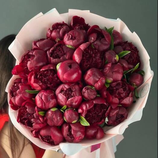 Bouquet of vinous peonies