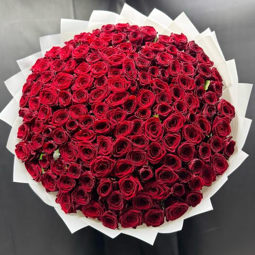 Красные Розы 151шт