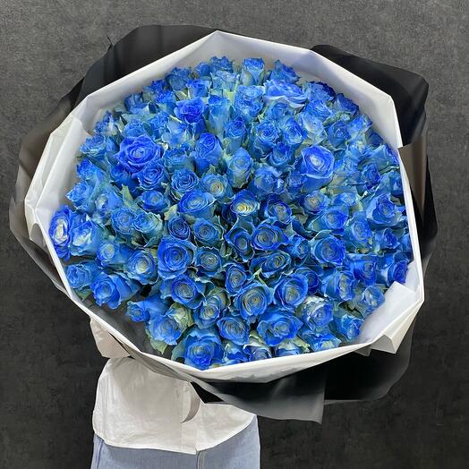 101 blue roses