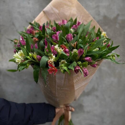 Alstroemeria mix