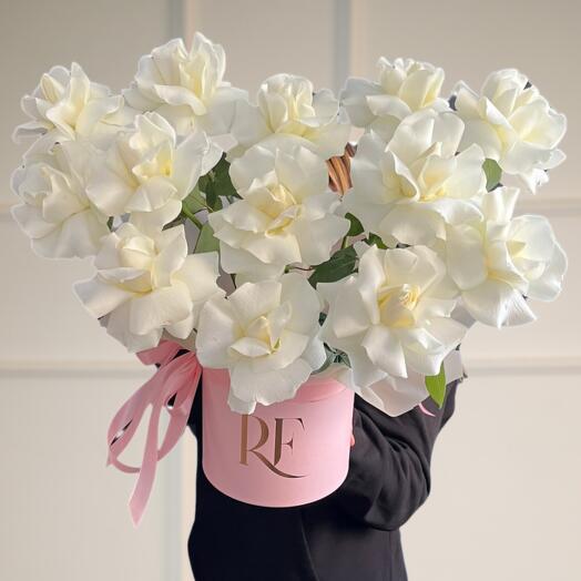 Композиция xs