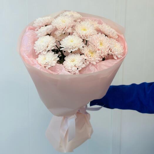 Chrysanthemum Monobucket 4