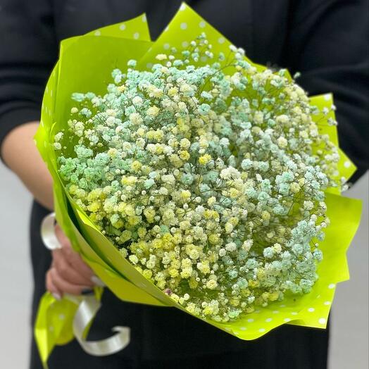 Весенняя гипсофила