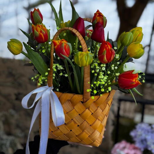 Tulips in basket