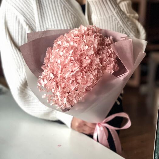 Hydrangea stabilized pale pink