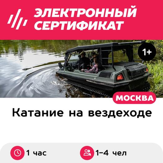 Тур на вездеходе Tinger между 2 болот, ч/з чащу, вокруг озера без остановки (Московская область)