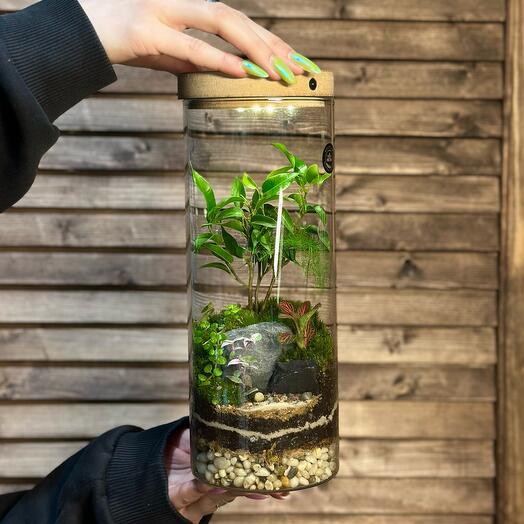 «Люкке» - Живой Флорариум с подсветкой