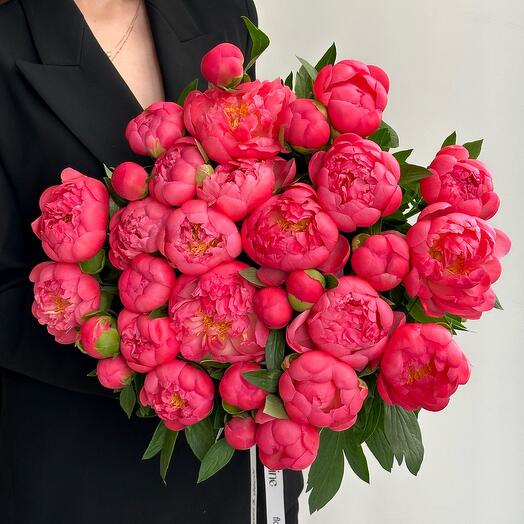 Пионы Корал Шарм (меняют цвет) 35шт