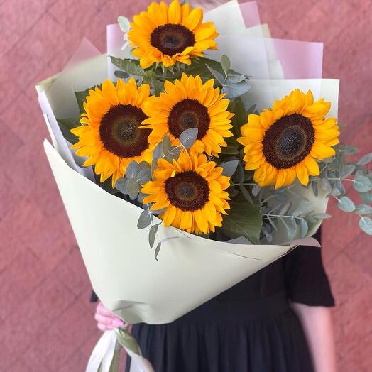 Подсолнухи 🌻