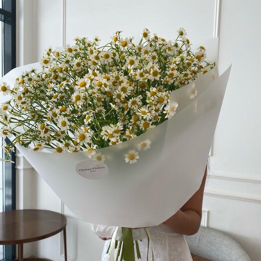 Camomile bouquet