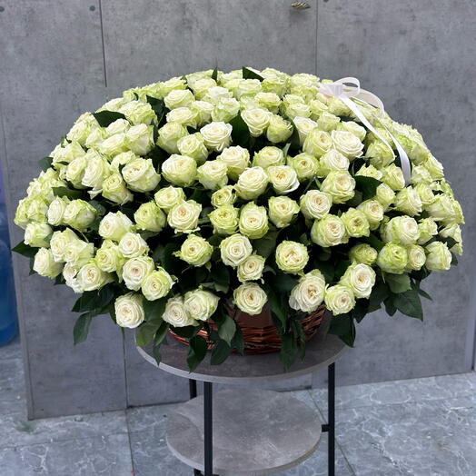 Корзина с 301 белое розы