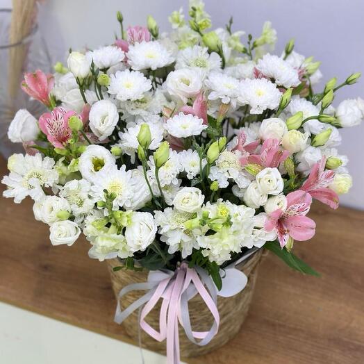 «Дикие грезы»