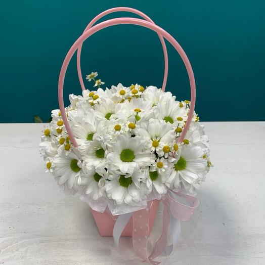 Композиция милые ромашки🌸