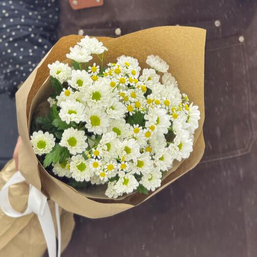 Привет , ромашки