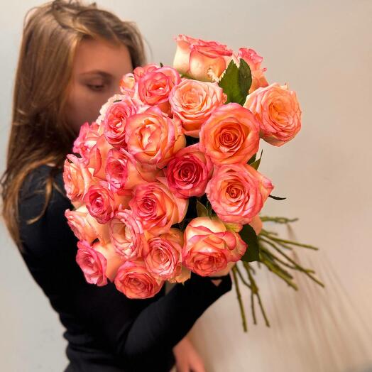 Розы розовые Джумилия 25 шт