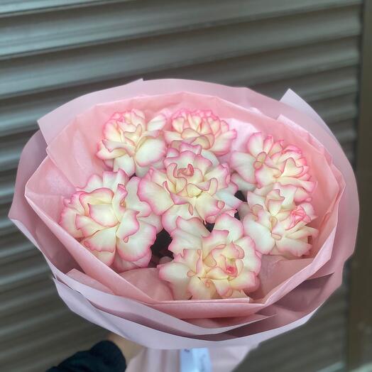 Французские розы джумилия