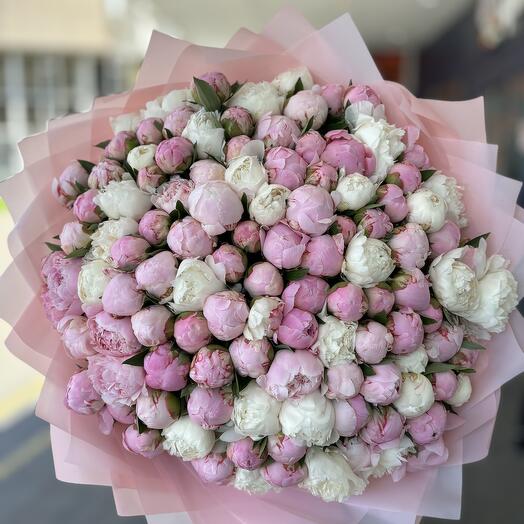Букет Пионов 101шт 💝💝💝