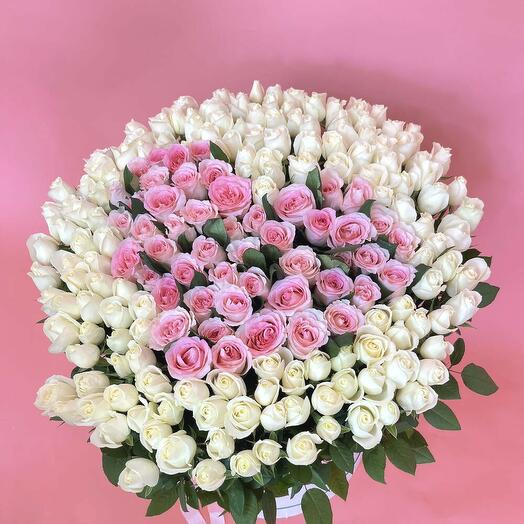 201 роза в коробке