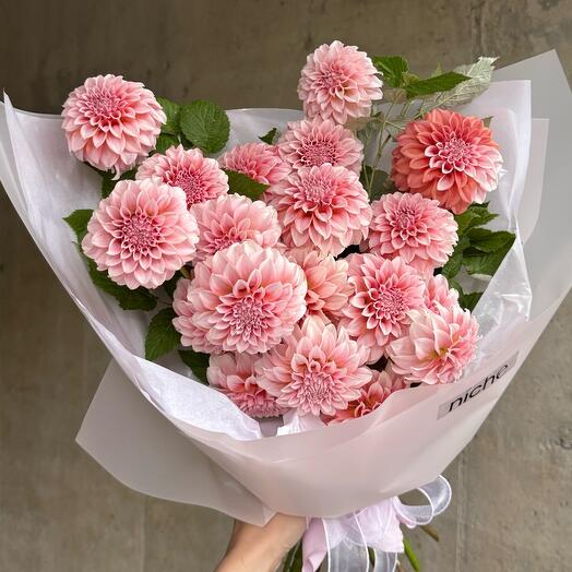 Peach dahlia 20 pc Георгины персиковые